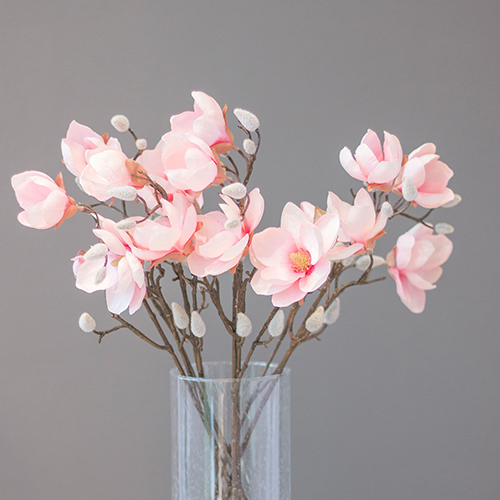 Magnolienzweig