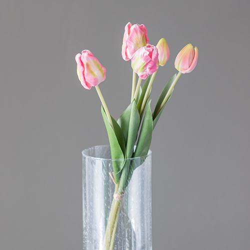 Tulpen rosa Bund
