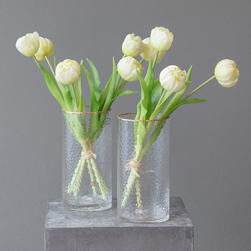 Tulpen creme im Bund