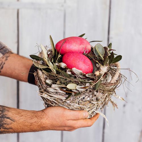 Osternest "mit bunten Gänseei"
