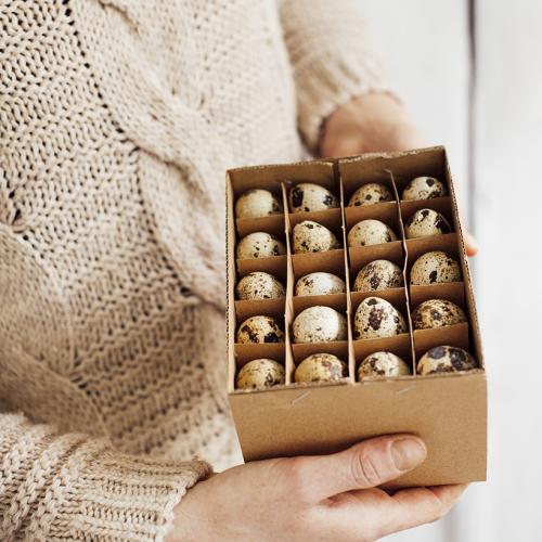 Wachteleier "Box mit 60 Stück"