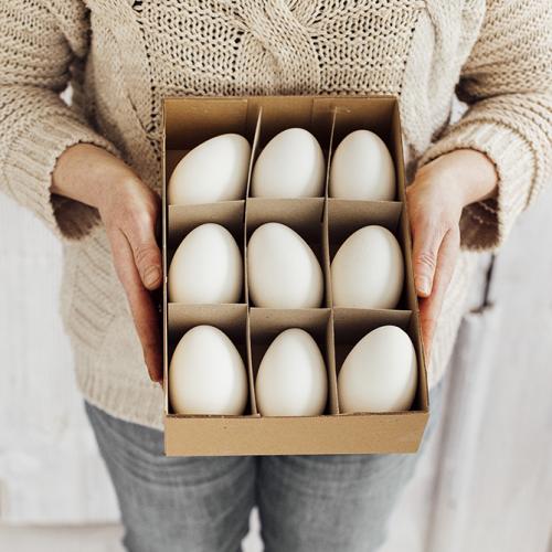 Gänseeier "Box mit 9 Stück"