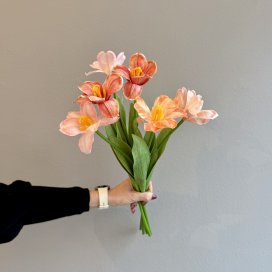 TULPE "Seidenblume" ab 6 Stück