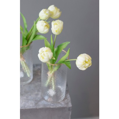 Tulpen creme im Bund