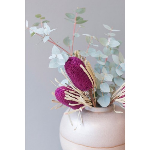 Protea getrocknet "lila"