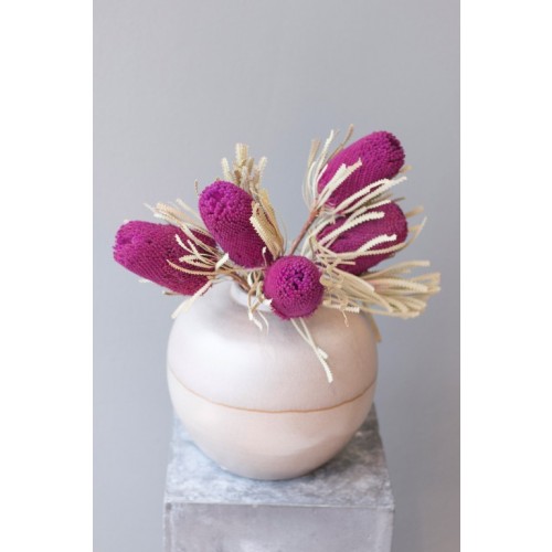 Protea getrocknet "lila"