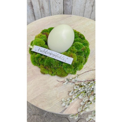 Polstermooskranz "Frühlingsgefühle" fertig gesteckt