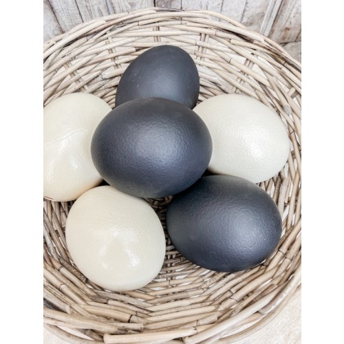 Straußen-Ei "schwarz"