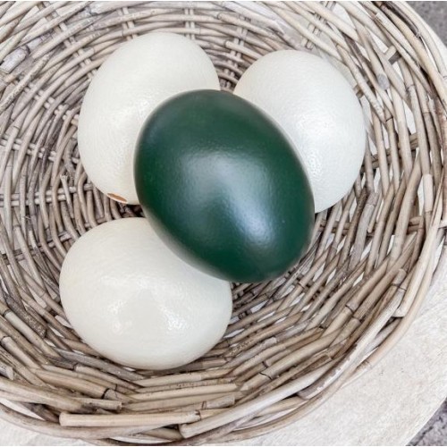 Straußen-Ei "grün"