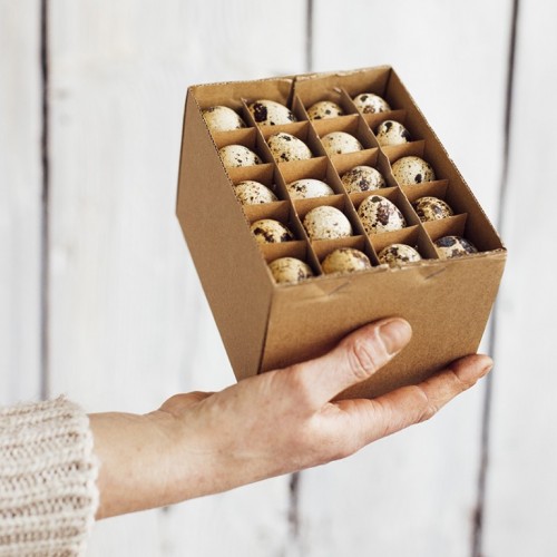 Wachteleier "Box mit 60 Stück"