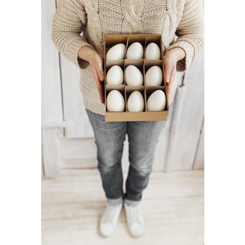 Gänseeier "Box mit 9 Stück"