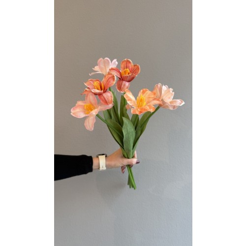 TULPE "Seidenblume" ab 6 Stück