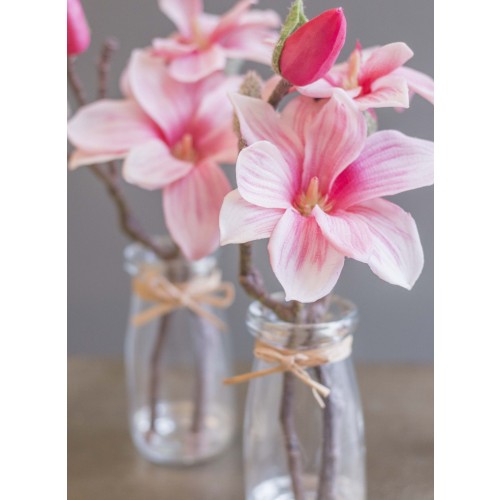 Magnolia Blüte mit Vase