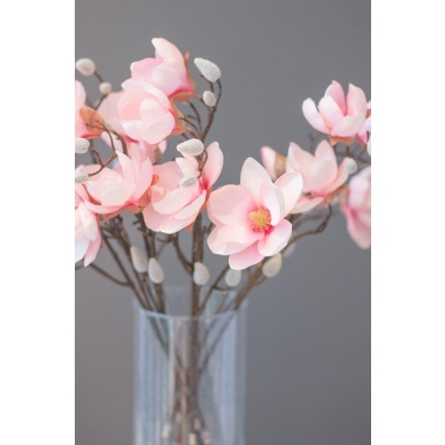 Magnolienzweig