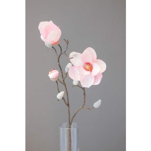 Magnolienzweig