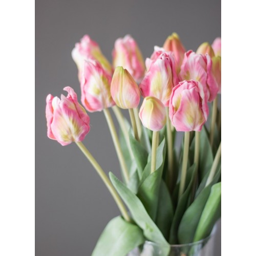 Tulpen rosa Bund