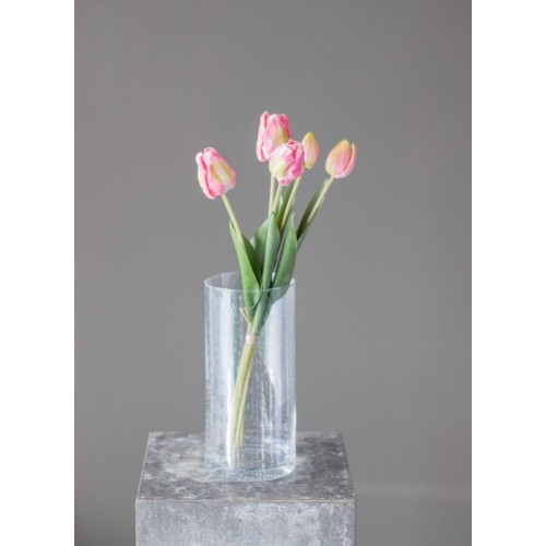 Tulpen rosa Bund