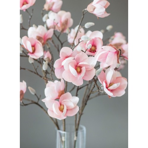 Magnolienzweig lang