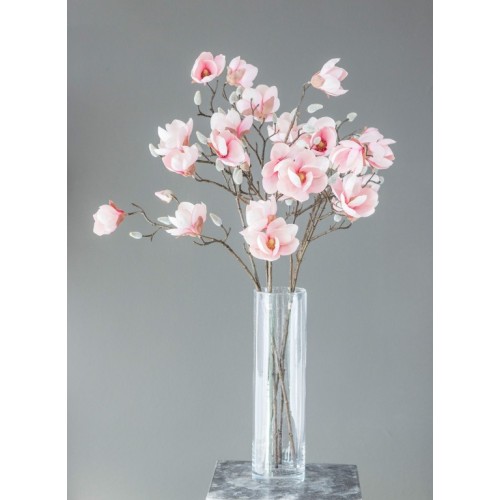 Magnolienzweig lang