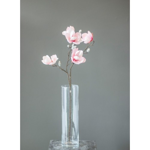 Magnolienzweig lang