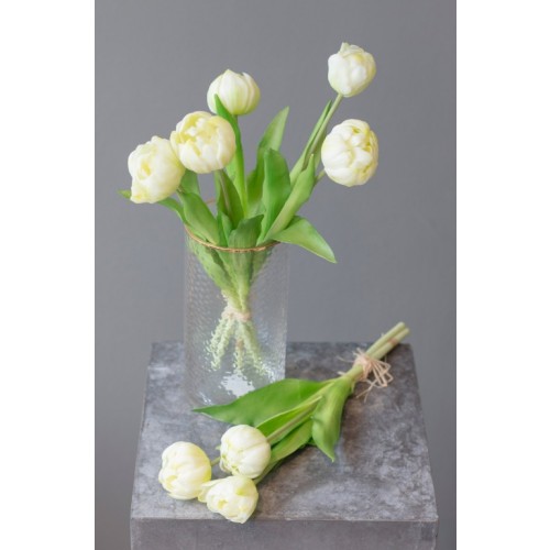 Tulpen creme im Bund