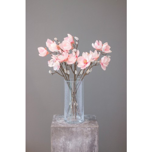 Magnolienzweig