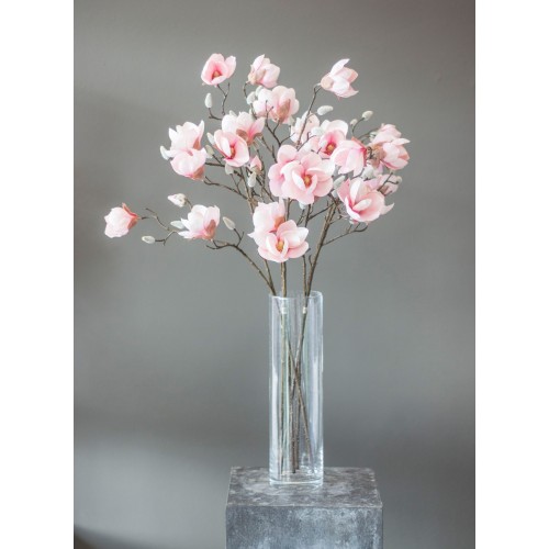 Magnolienzweig lang