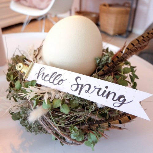 Osternest "Hello Spring"