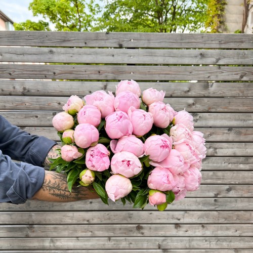 ♥︎ Pfingstrose rosa -Muttertag Spezial ♥︎