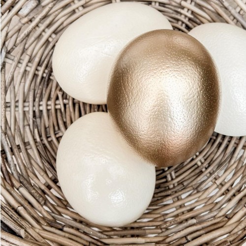 Straußen-Ei "gold"