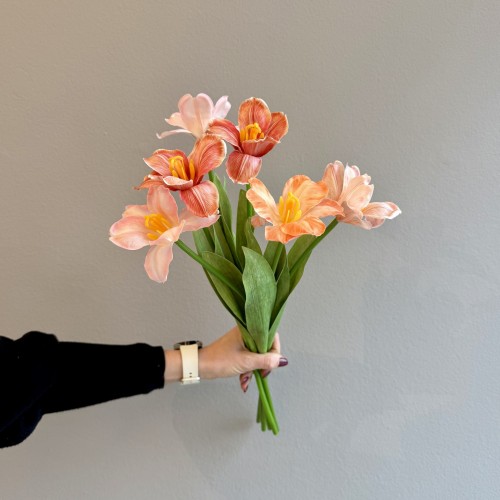 TULPE "Seidenblume" ab 6 Stück