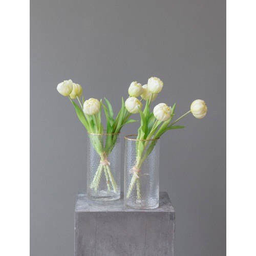 Tulpen creme im Bund