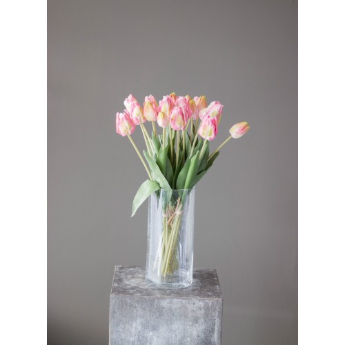 Tulpen rosa Bund